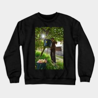 Senior farmer picking apples Crewneck Sweatshirt